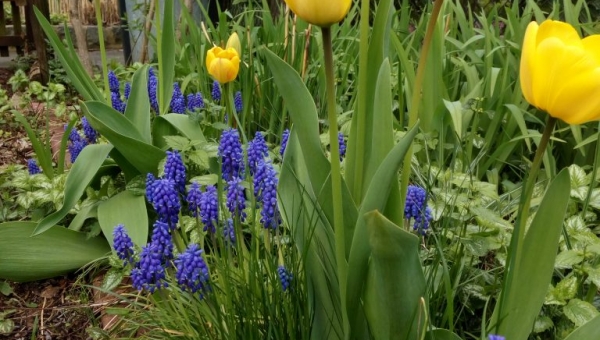 Augenspaziergänge im Optikpark